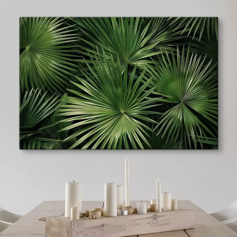 carta da parati Foglie grandi, bragaea nr. s47746