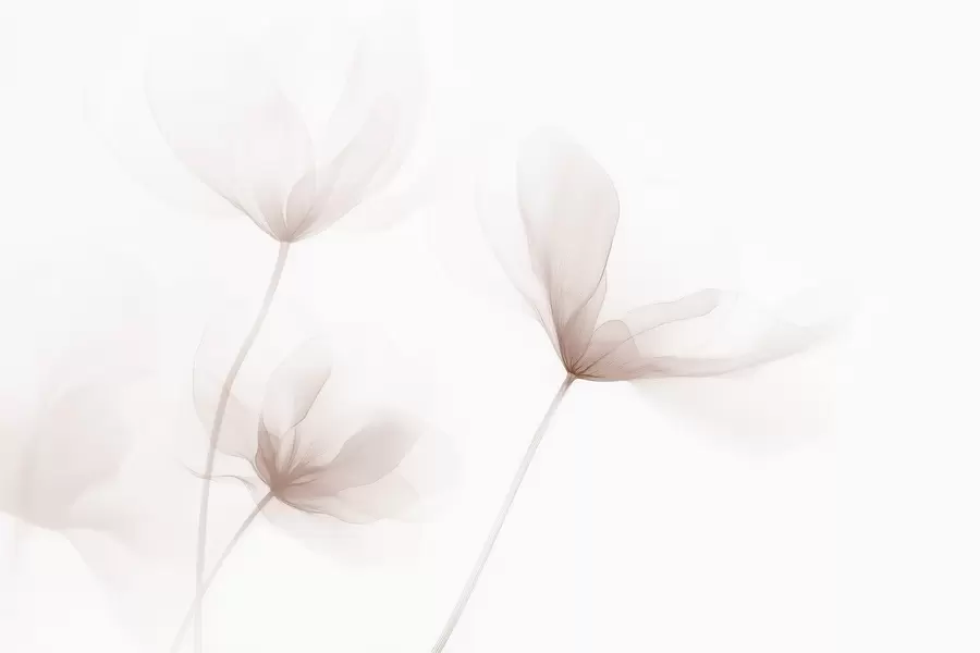 Carta da parati Floreale Fiori beige ariosi in stile minimalista e leggero n. w09734