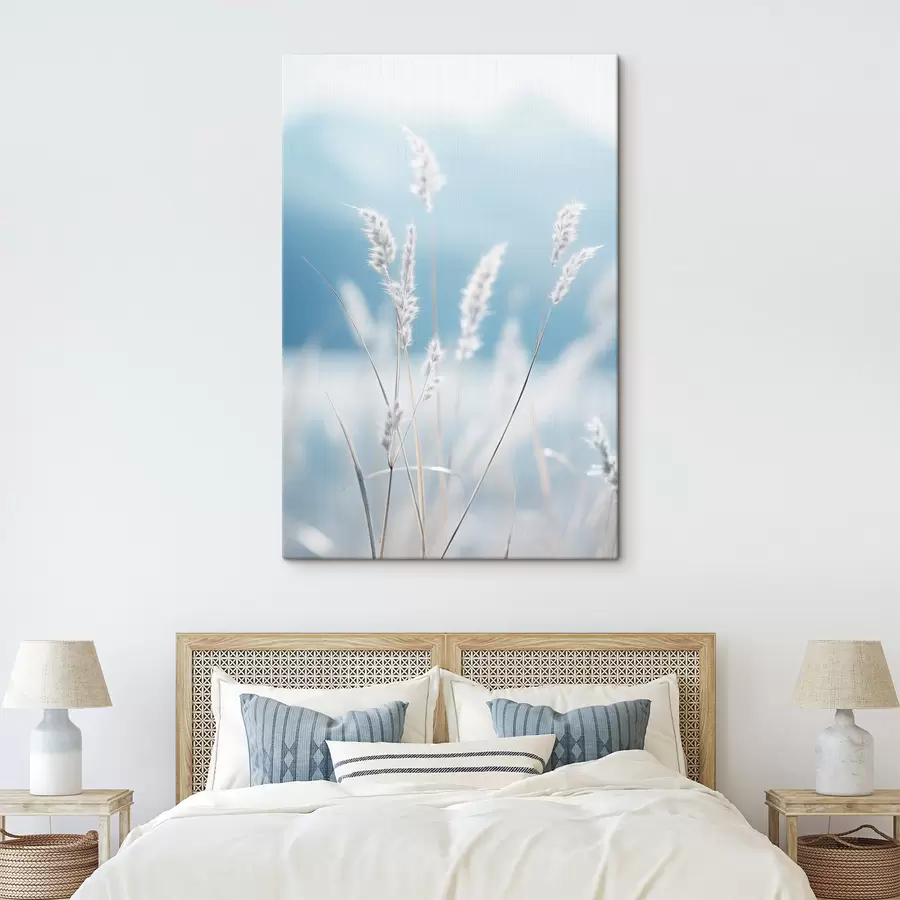 carta da parati Erba bianca e soffice su uno sfondo di cielo azzurro, con una profondità di campo ridotta. nr. s47880