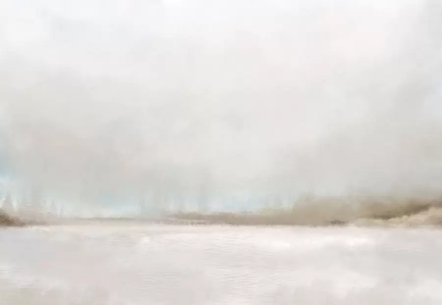 Carta da parati nature Paesaggio nebbioso con lago e foresta 