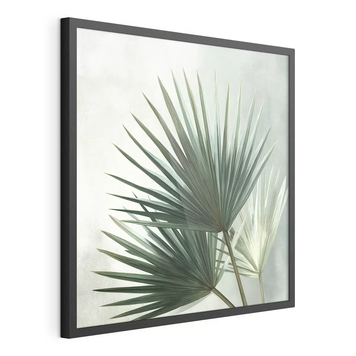 Poster Composizione con foglie di palma f48465