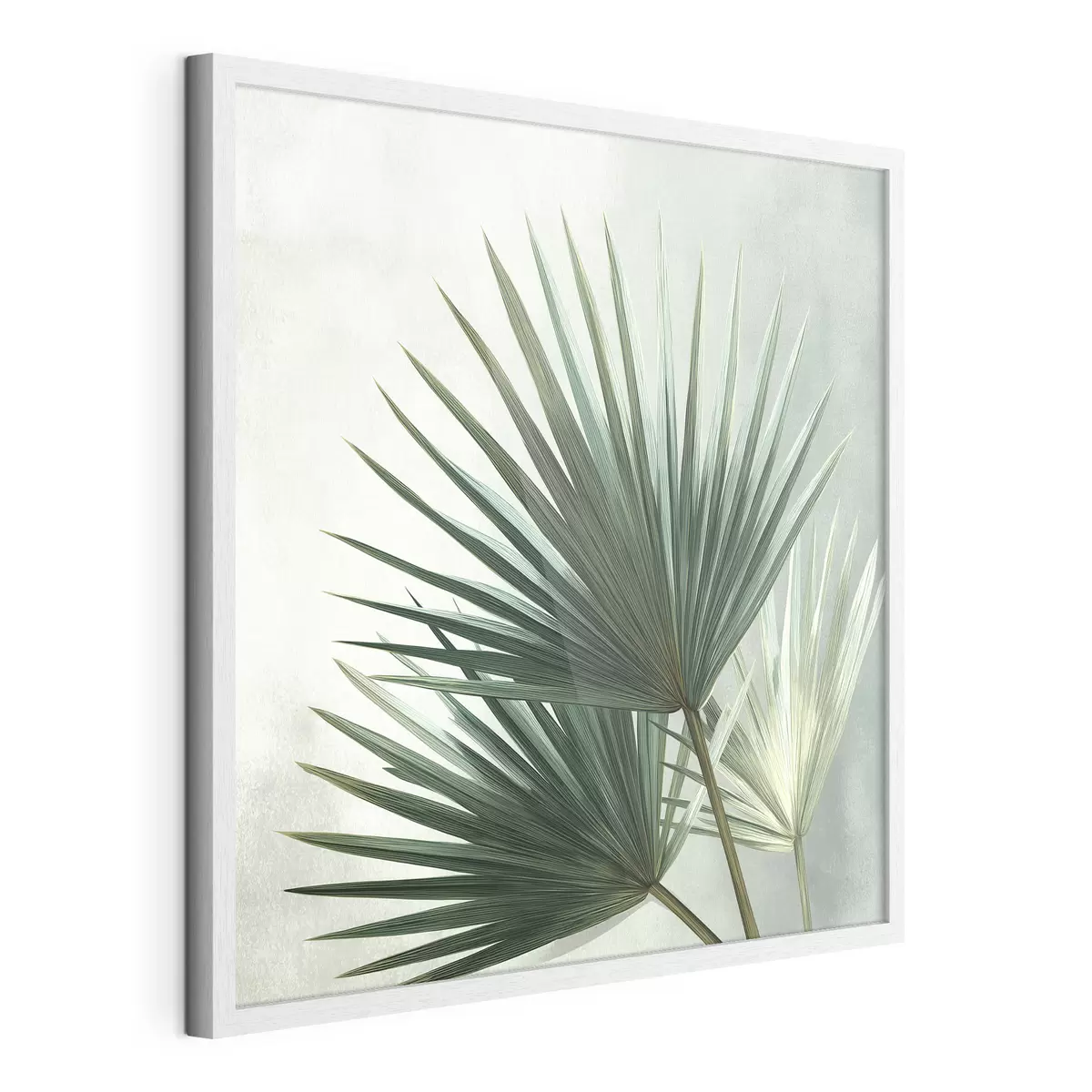 Poster Composizione con foglie di palma f48465