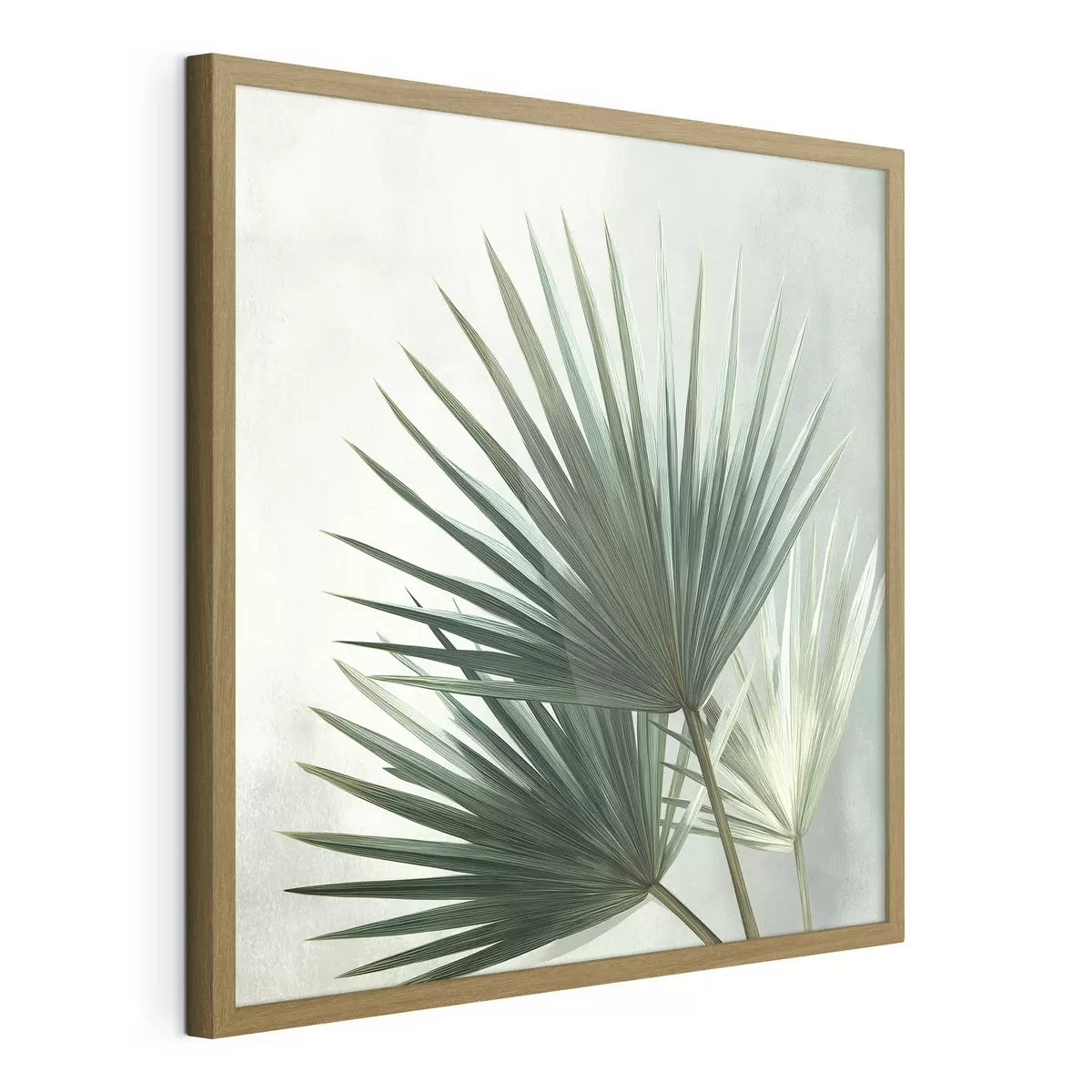 Poster Composizione con foglie di palma f48465