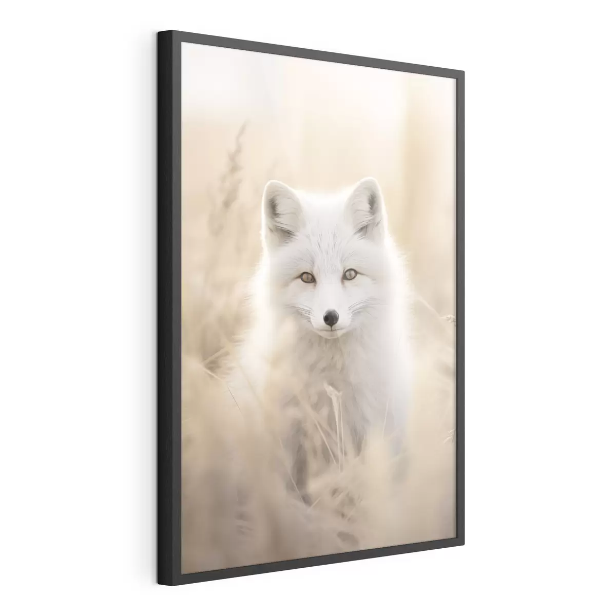 Poster Volpe artica f48498