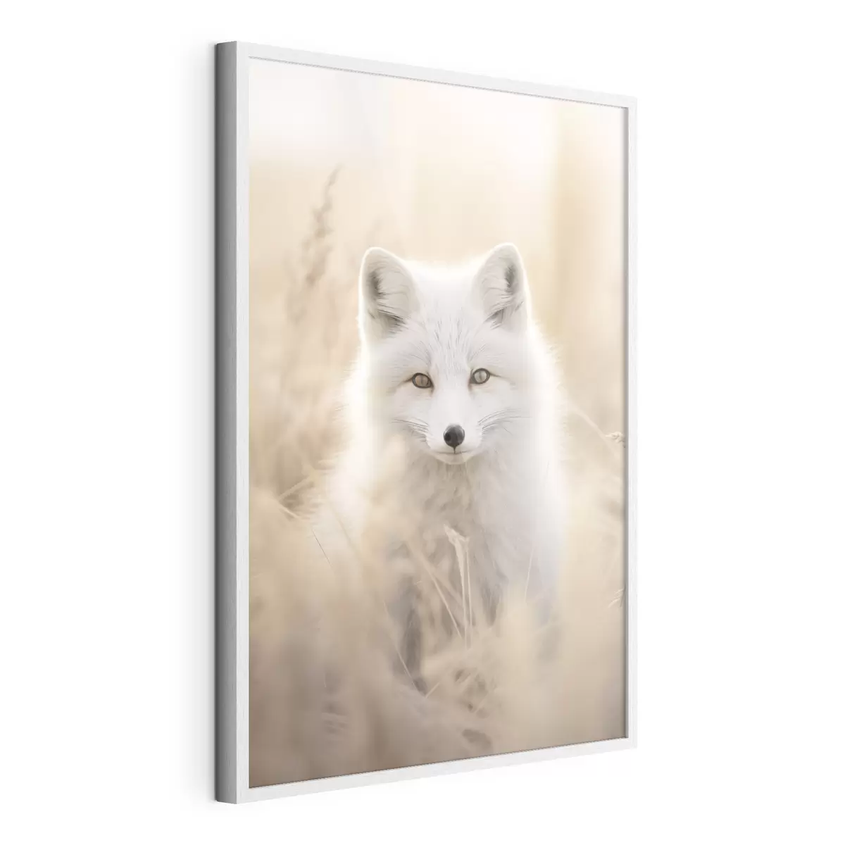 Poster Volpe artica f48498