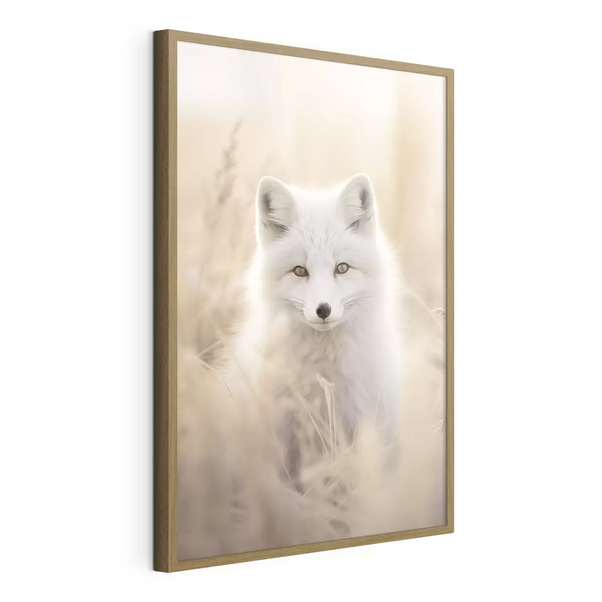 Poster Volpe artica f48498