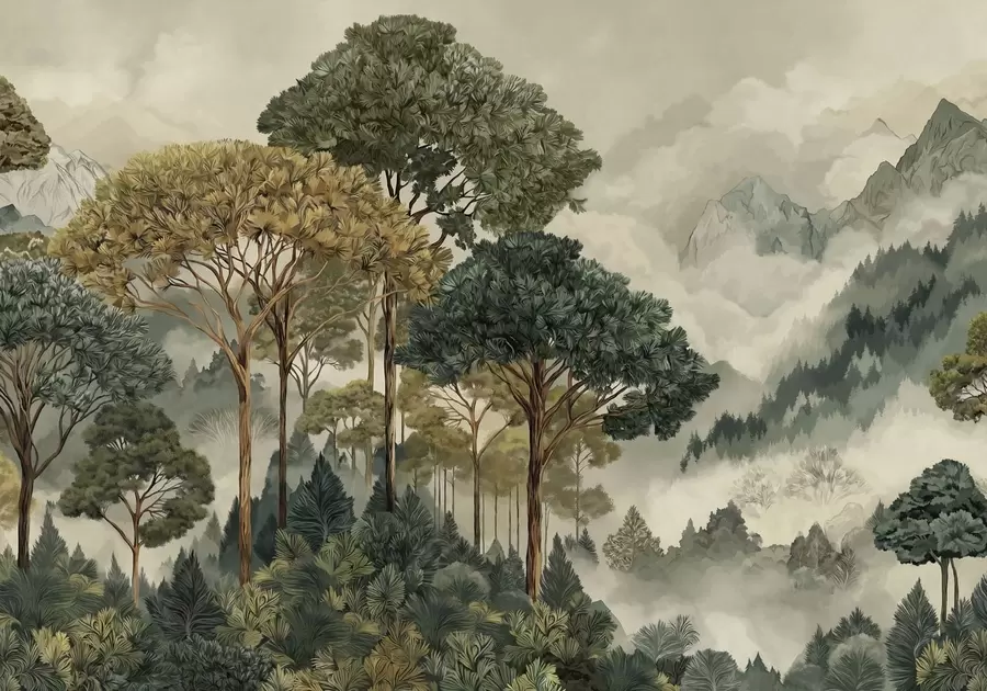 Carta da parati nature Foresta con alberi ad alto fusto tra montagne avvolte dalla nebbia 