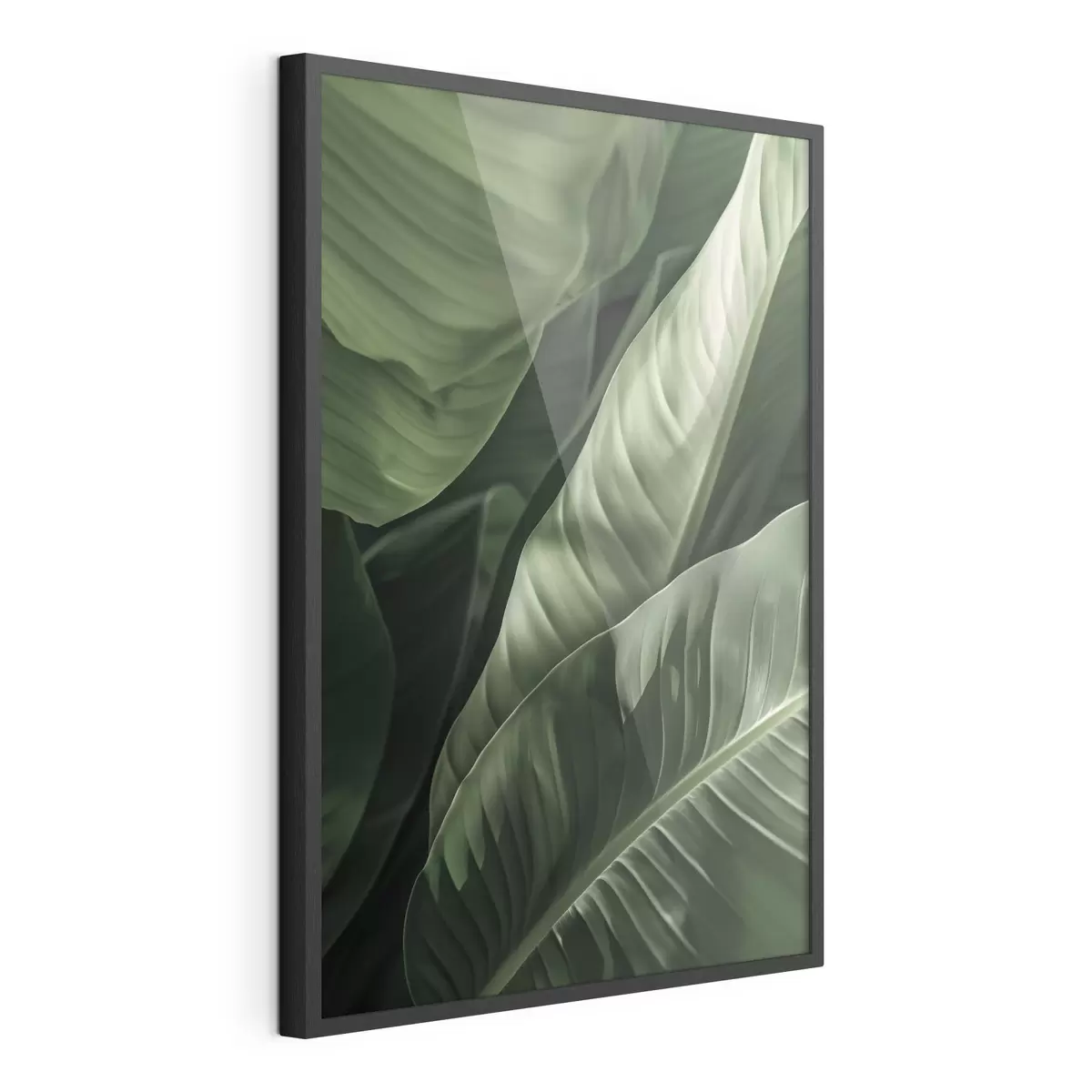 Poster Botanica, foglie tropicali f48577