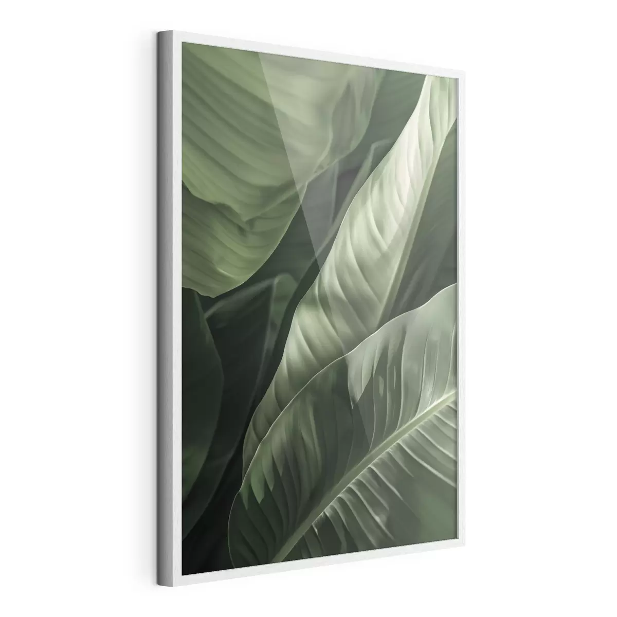 Poster Botanica, foglie tropicali f48577