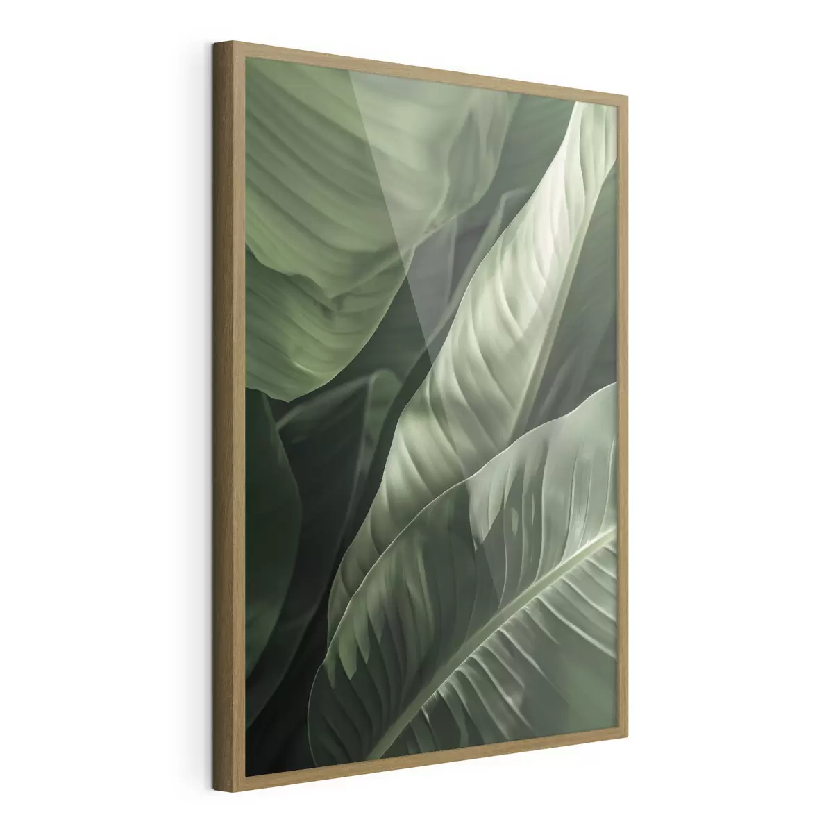 Poster Botanica, foglie tropicali f48577