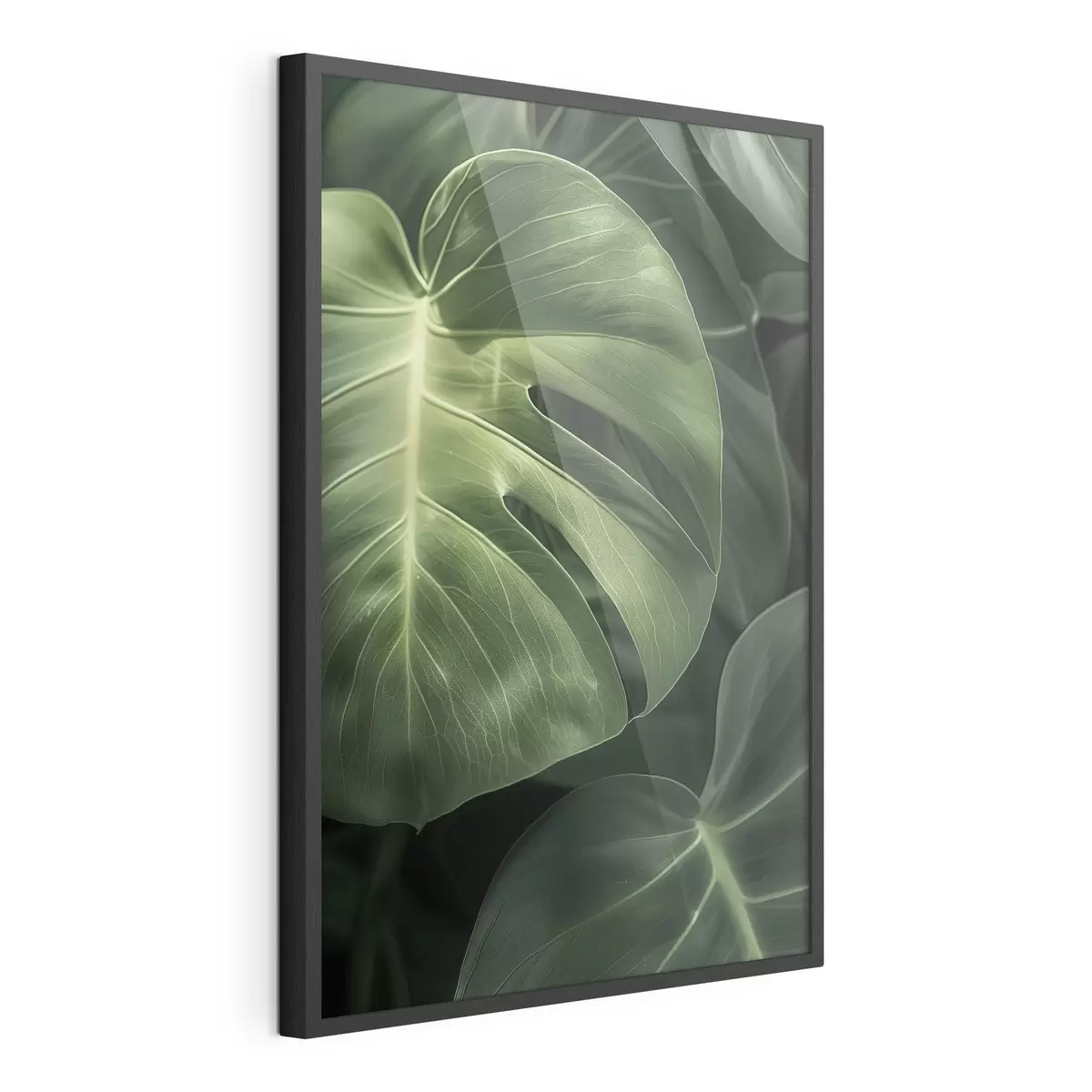Poster Grandi foglie tropicali f48578