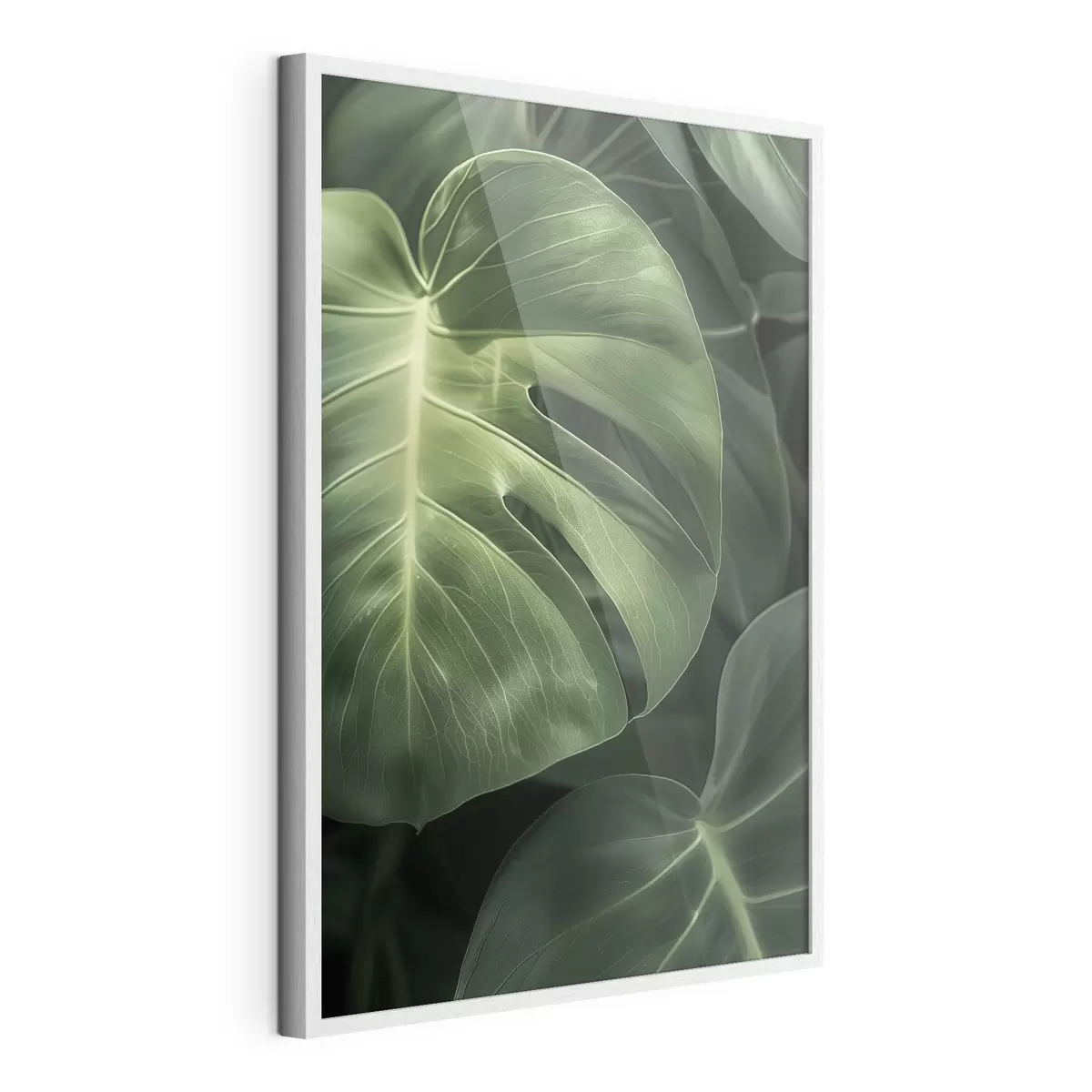 Poster Grandi foglie tropicali f48578
