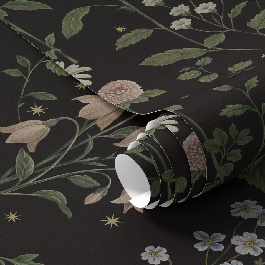 carta da parati Motivo floreale su sfondo nero con stelle nr. a01160