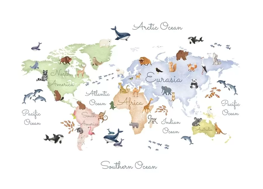 carta da parati Una mappa a colori in stile acquerello con immagini di animali. Didascalie in inglese nr. c00012en
