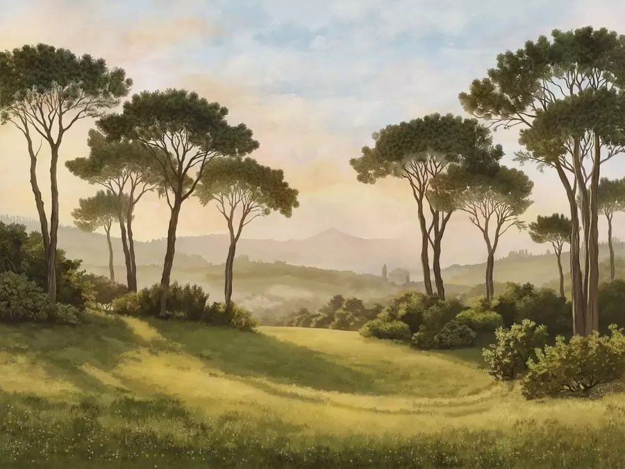 Carta da parati nature Paesaggio con alberi nella calda luce del tramonto 