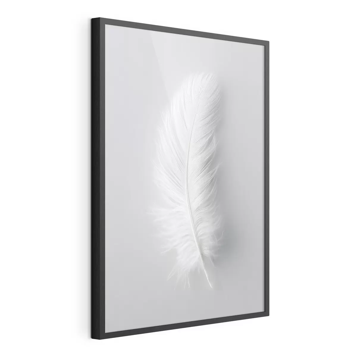 Poster un'elegante piuma di cigno f48782