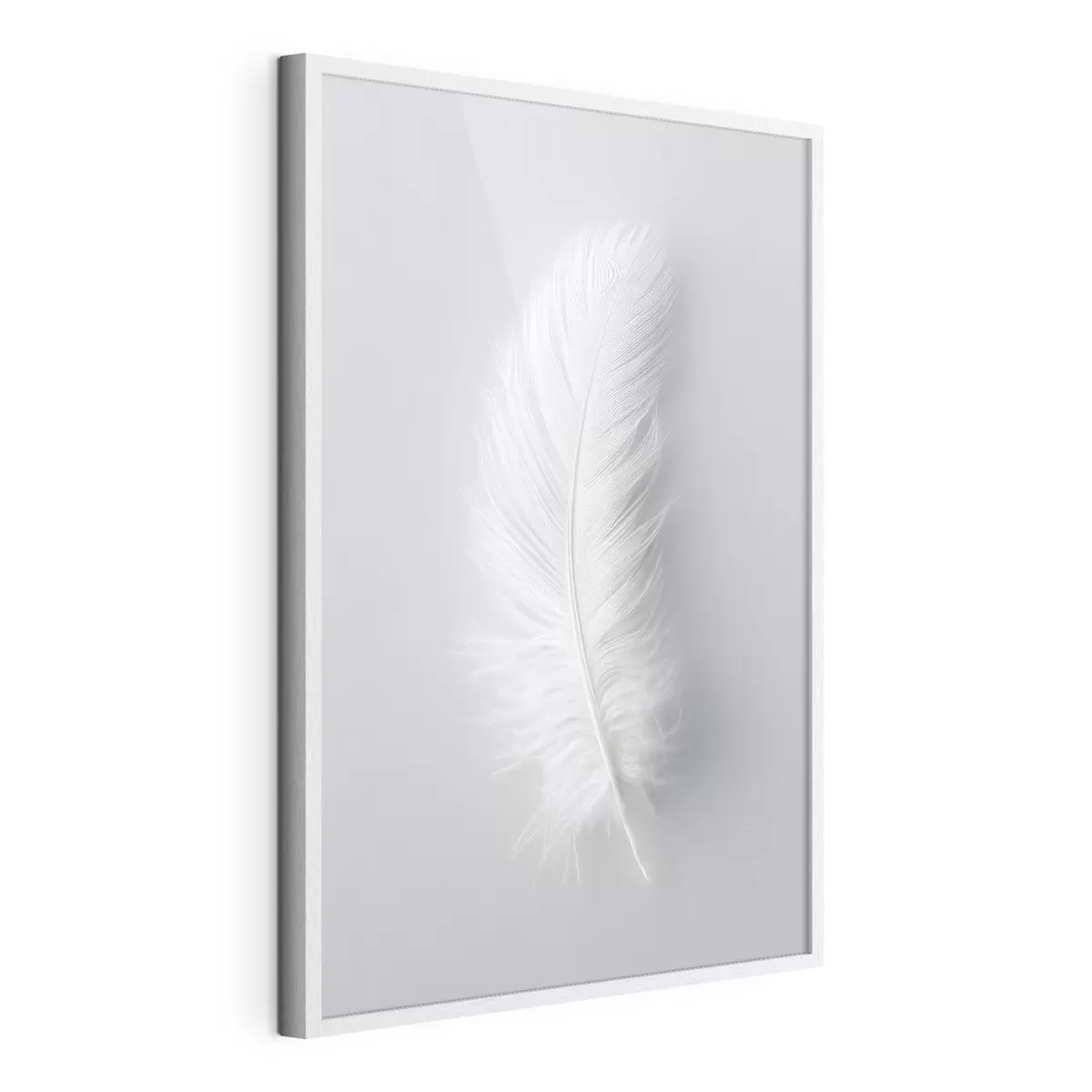 Poster un'elegante piuma di cigno f48782