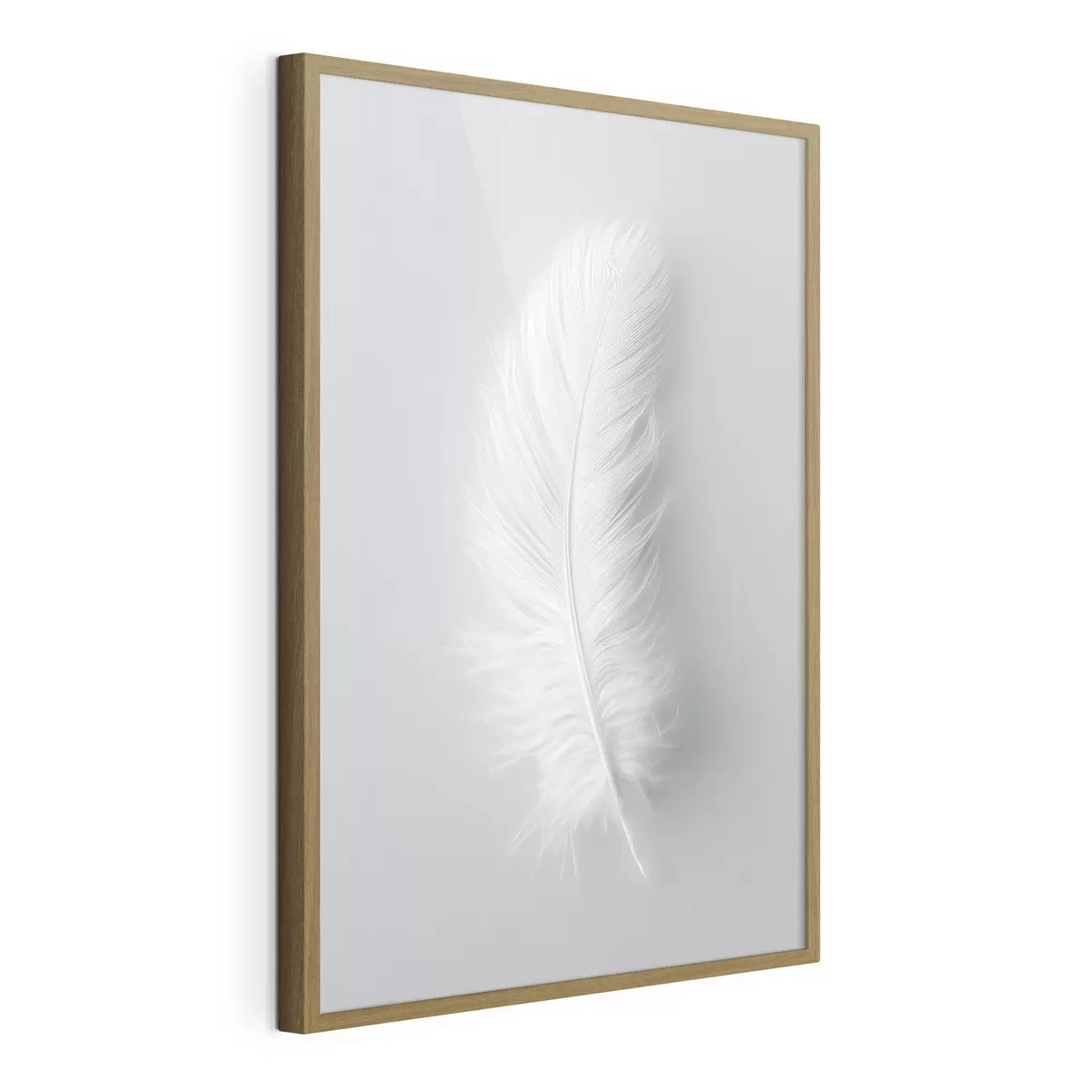 Poster un'elegante piuma di cigno f48782
