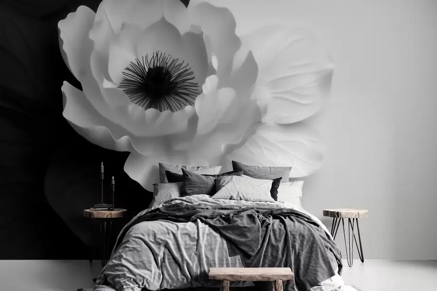 carta da parati Un fiore bianco che crea un contrasto con il centro scuro su uno sfondo bianco e nero nr. w09852