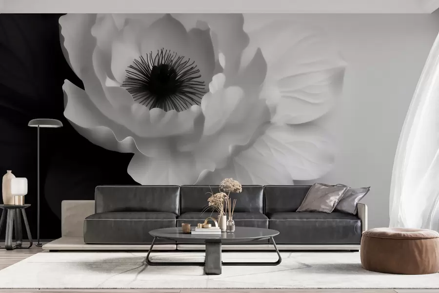 carta da parati Un fiore bianco che crea un contrasto con il centro scuro su uno sfondo bianco e nero nr. w09852
