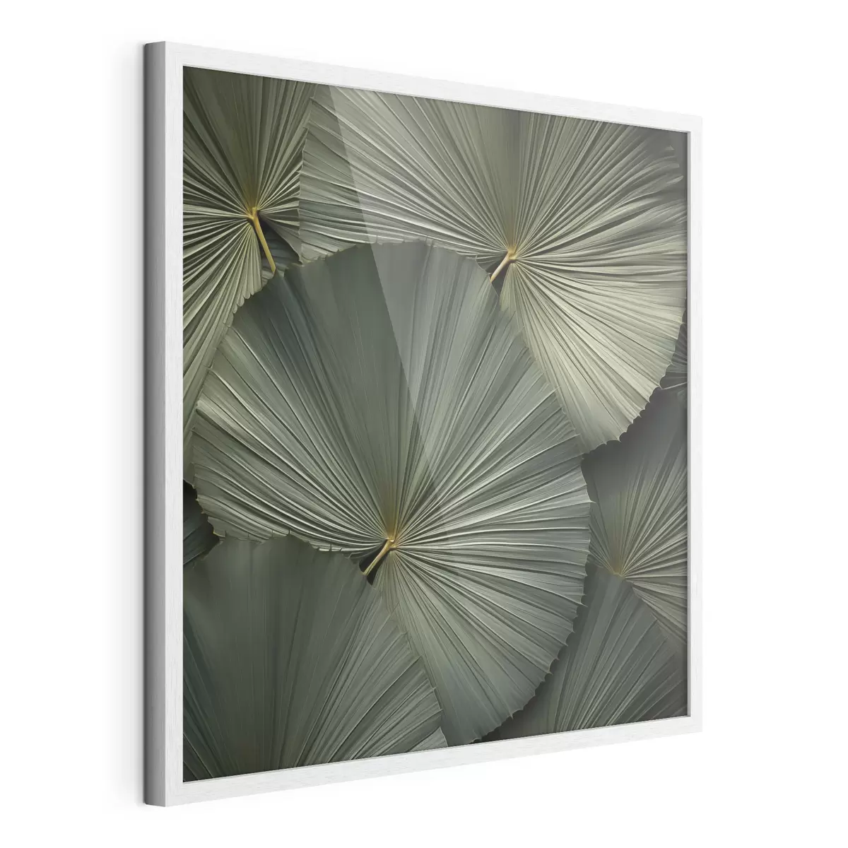 Poster Palme e sogno f48977