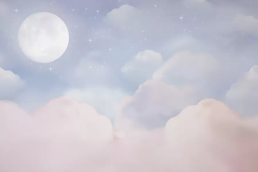 Carta da parati Cielo La luna nel cielo n. w05595