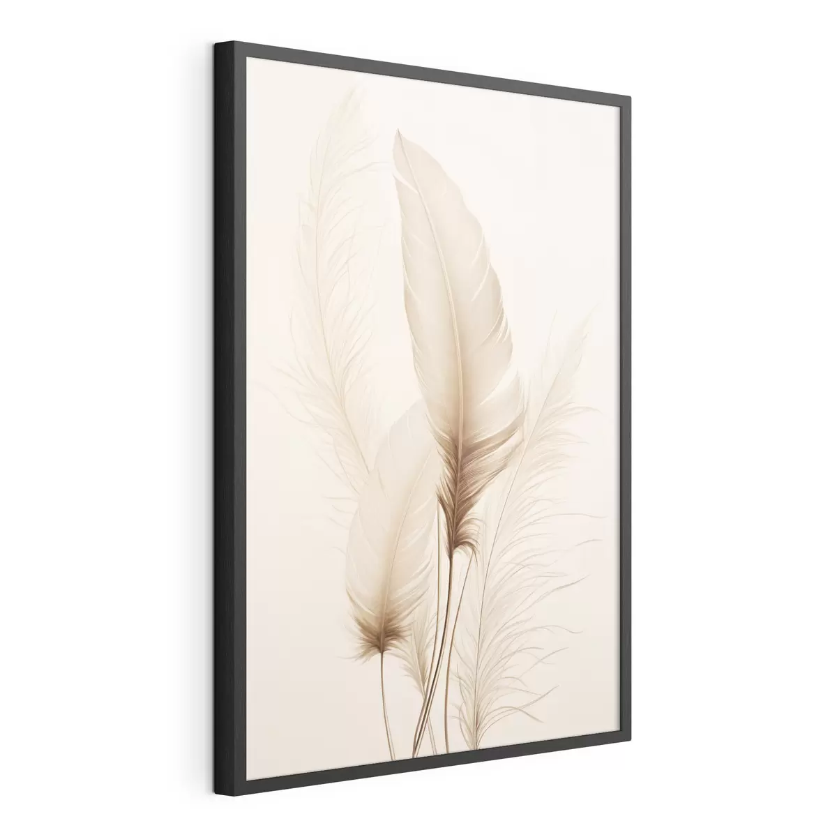 Poster Piume e ritmo f49158