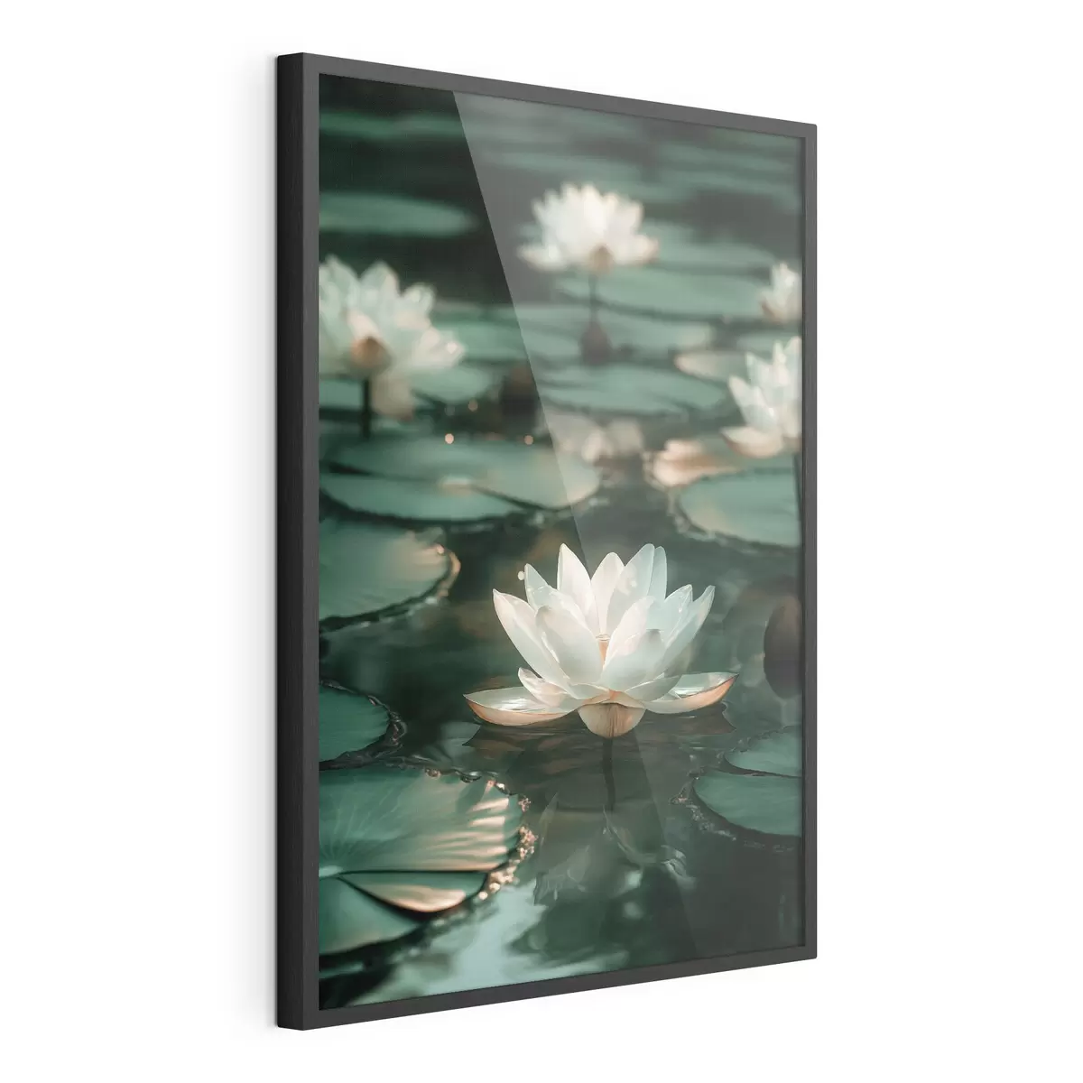 Poster Fiori di loto chiari sull'acqua scura f49197