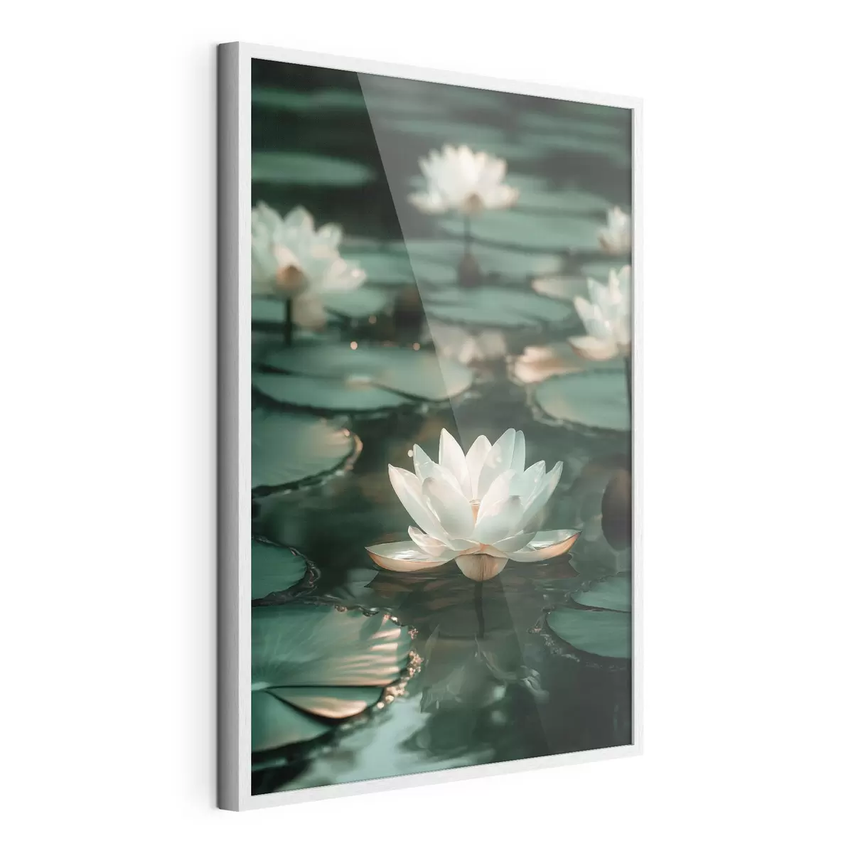 Poster Fiori di loto chiari sull'acqua scura f49197