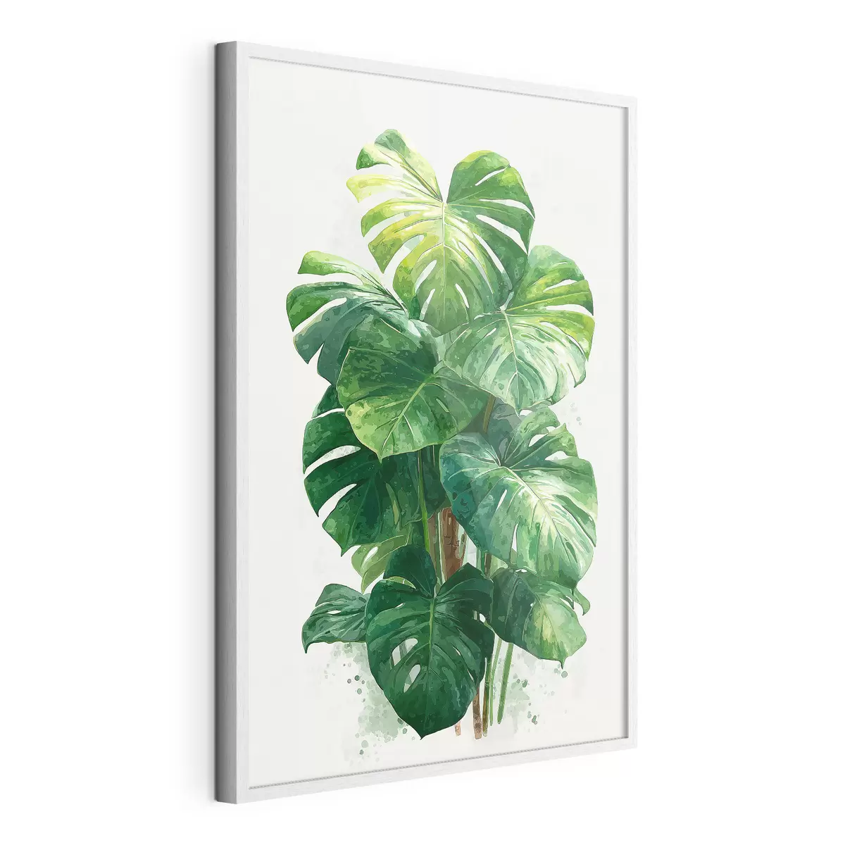 Poster Luce per Monstera f49336