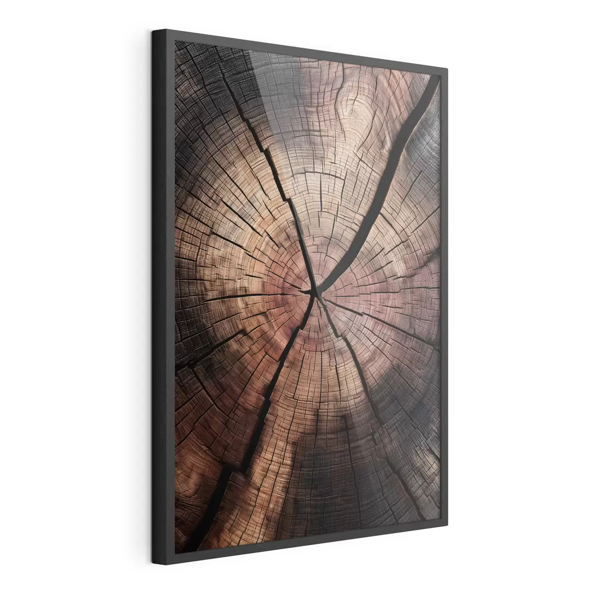 Poster una vista in sezione di legno rosso f49561