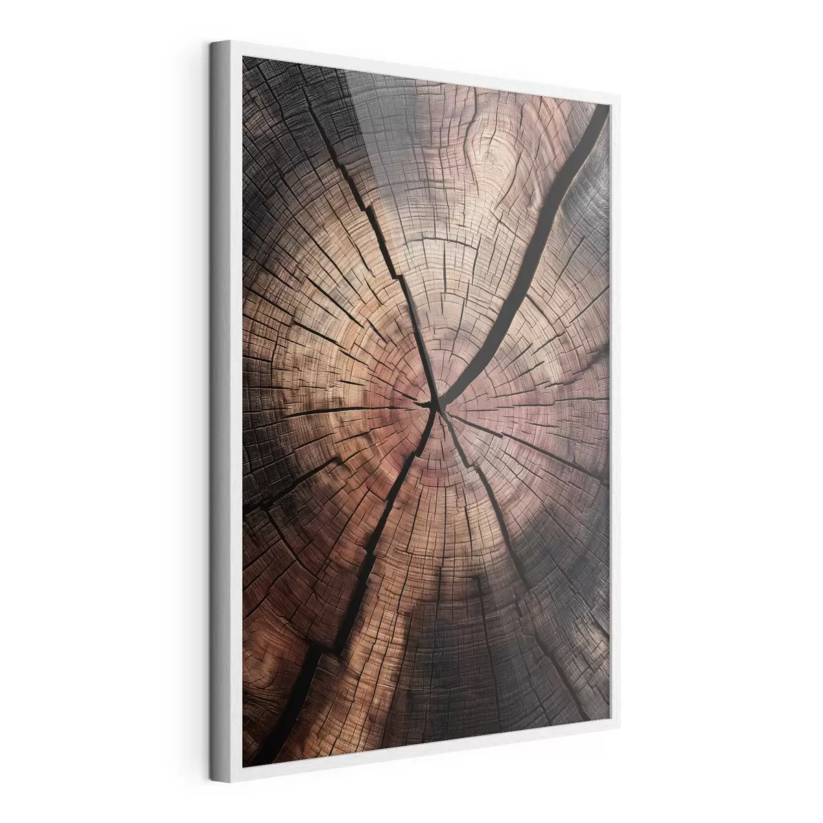 Poster una vista in sezione di legno rosso f49561