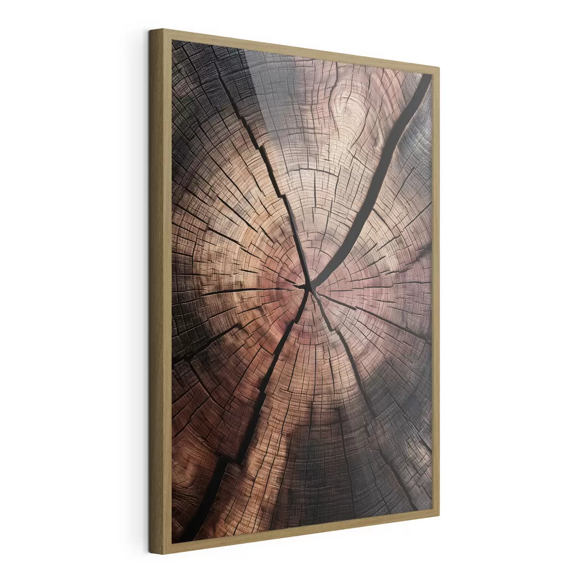 Poster una vista in sezione di legno rosso f49561