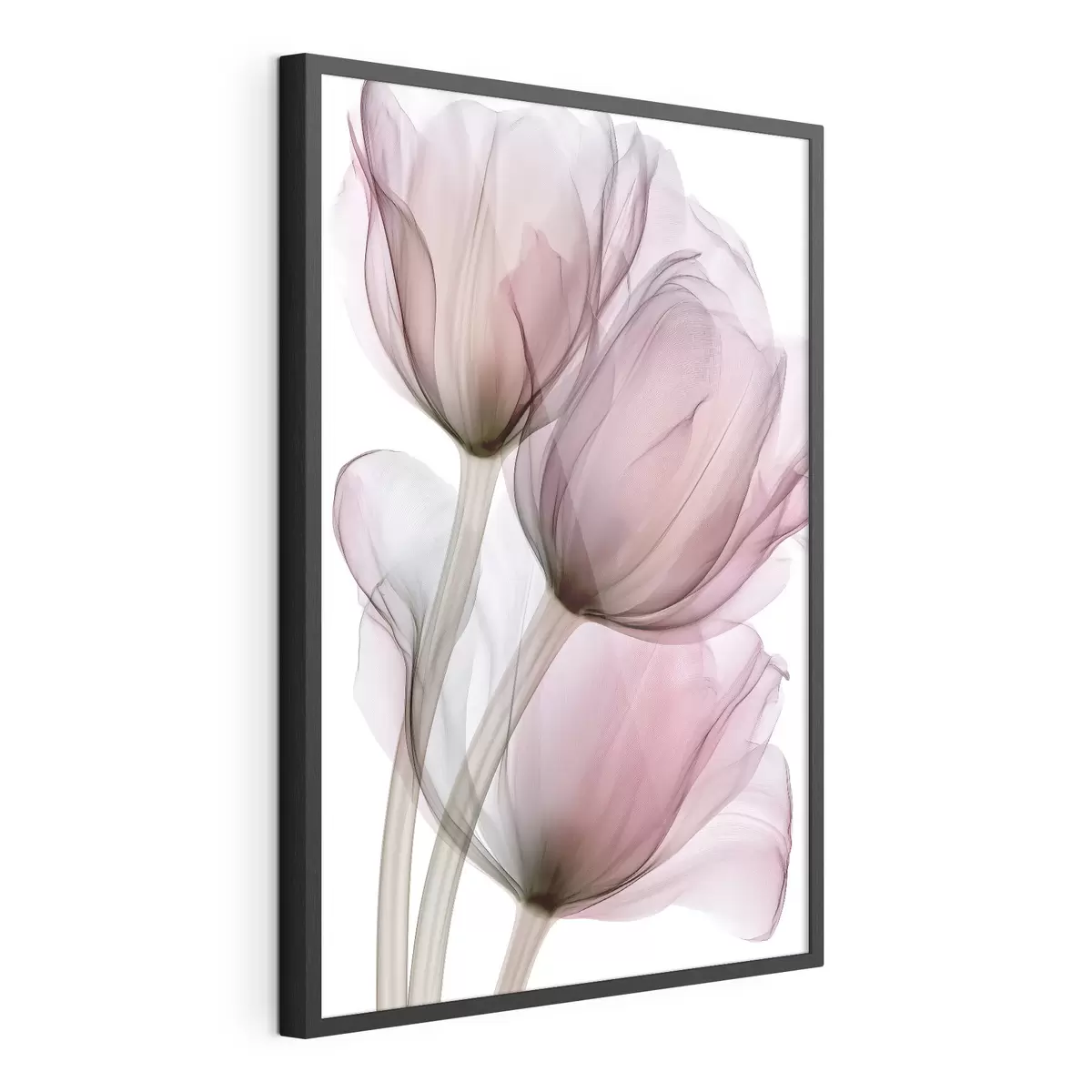 Poster eleganti tulipani semitrasparenti f49564
