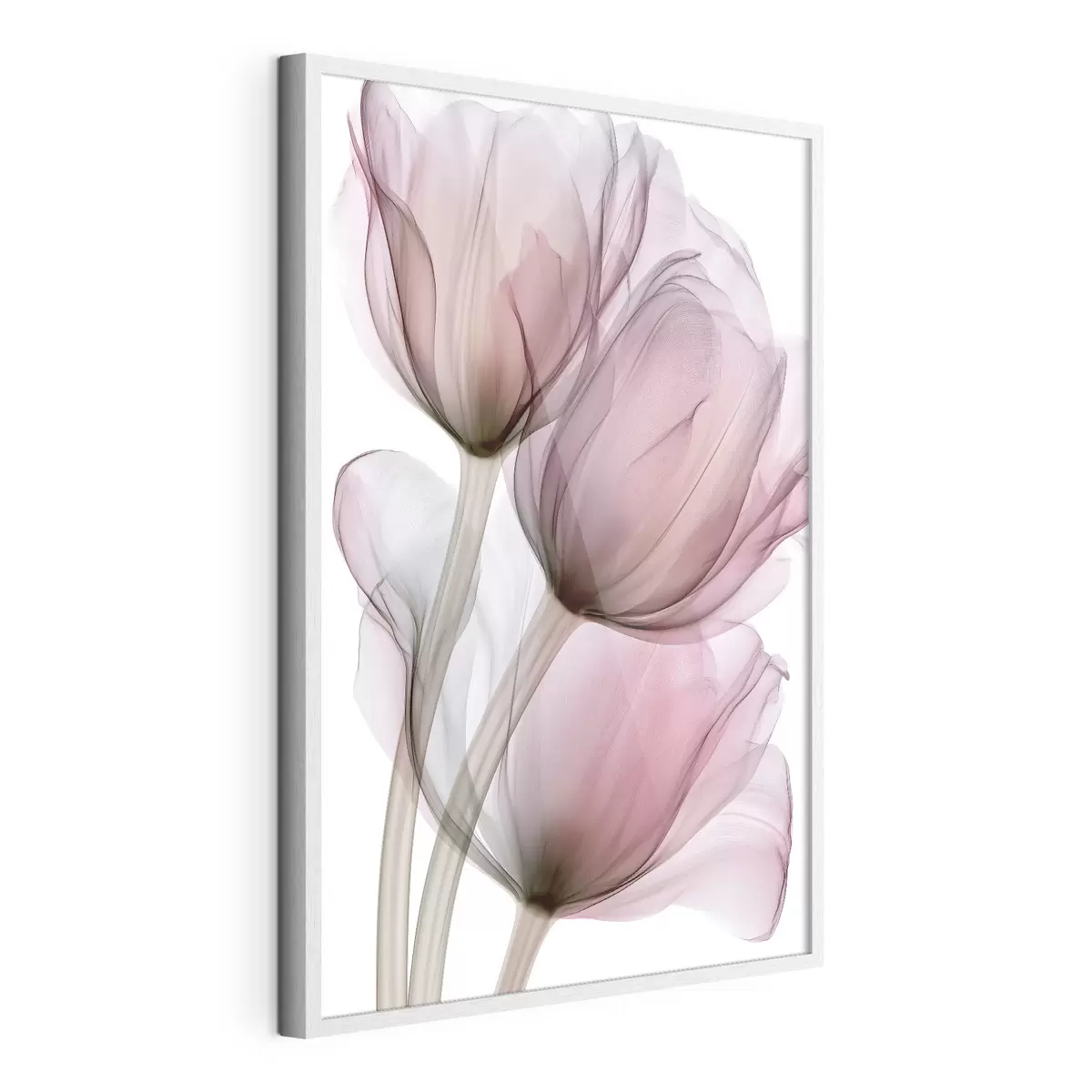 Poster eleganti tulipani semitrasparenti f49564