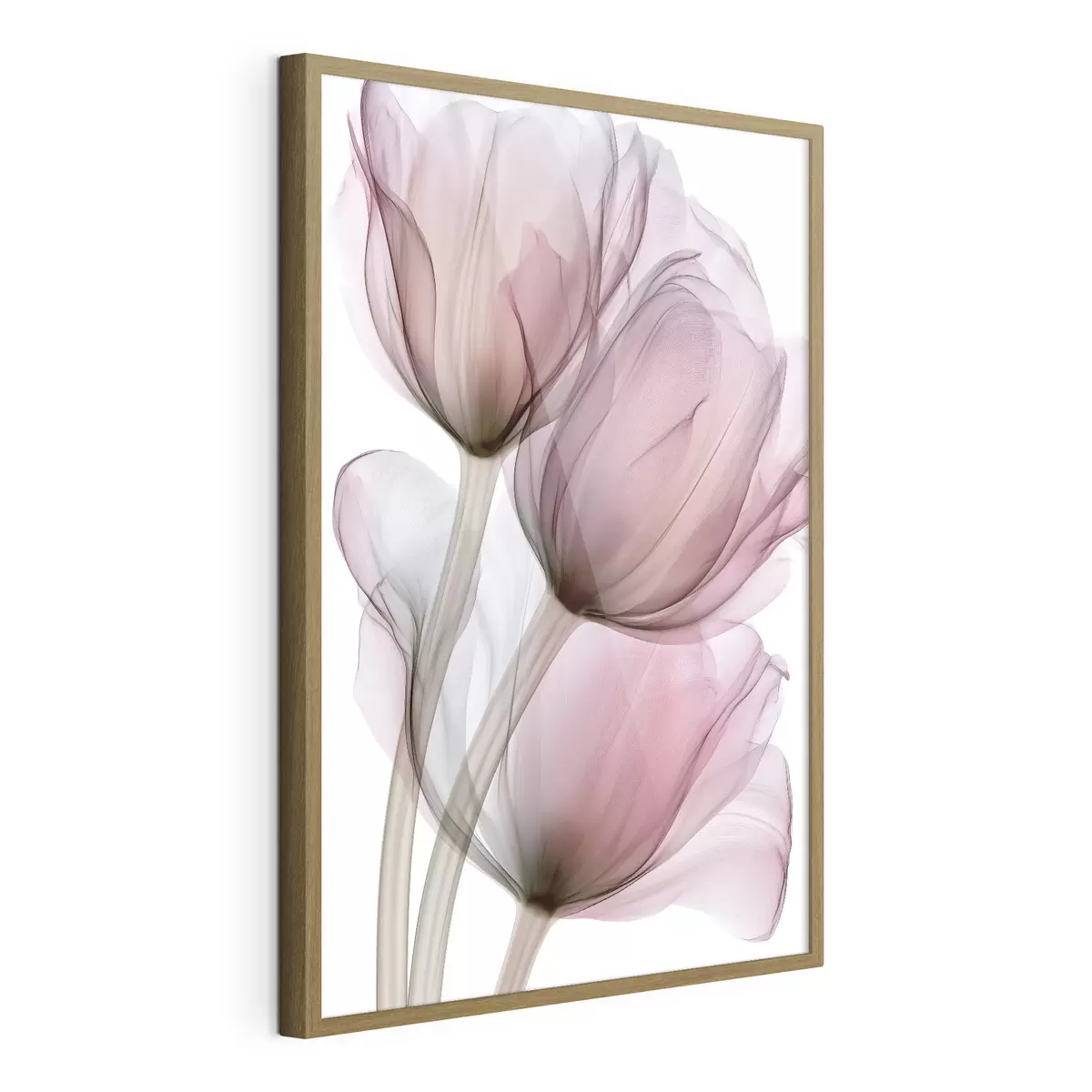 Poster eleganti tulipani semitrasparenti f49564