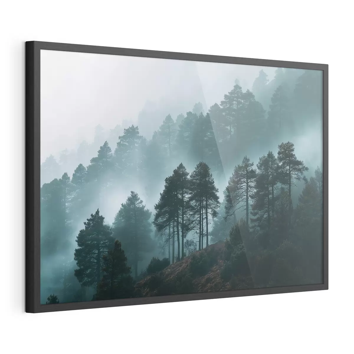 Poster foresta f49672