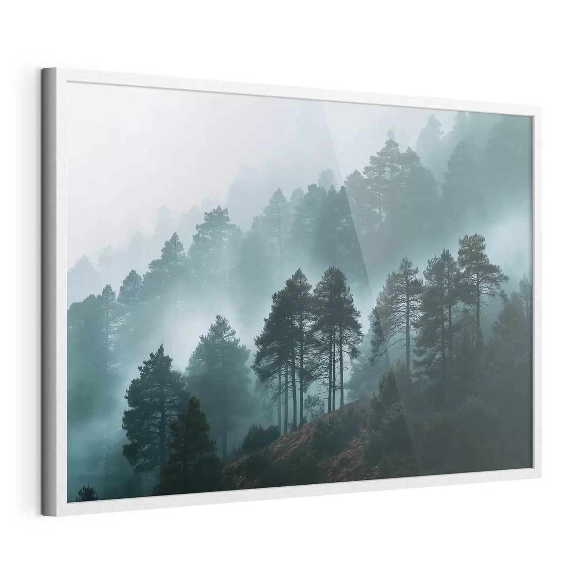 Poster foresta f49672