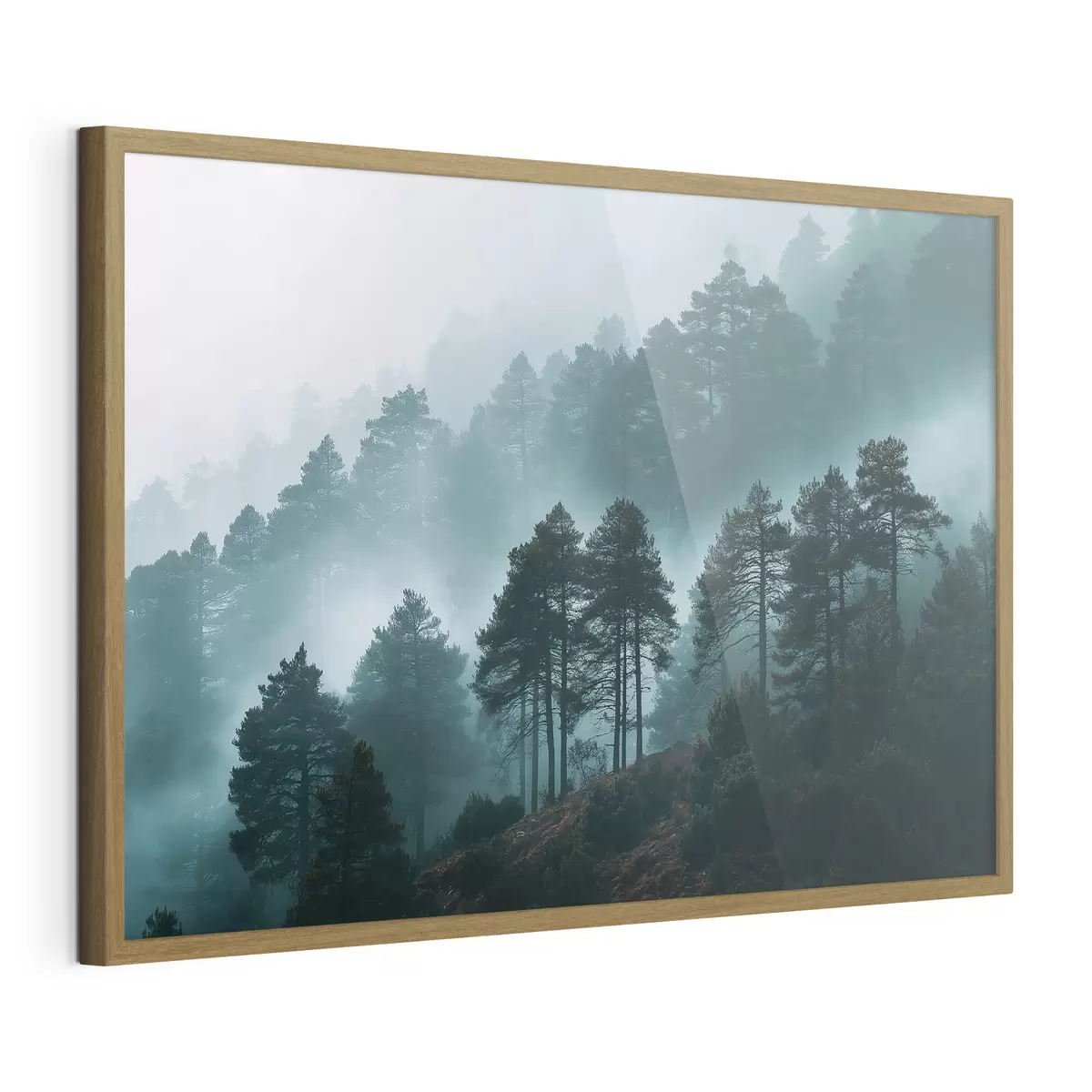 Poster foresta f49672