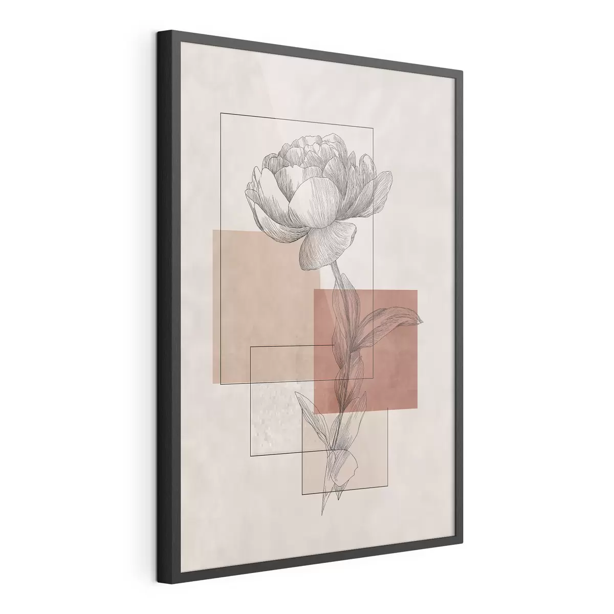 Poster Peonia moderna f49842