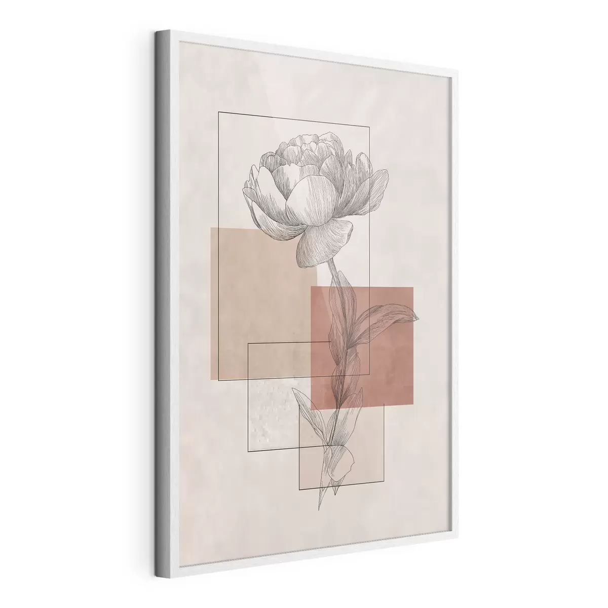 Poster Peonia moderna f49842