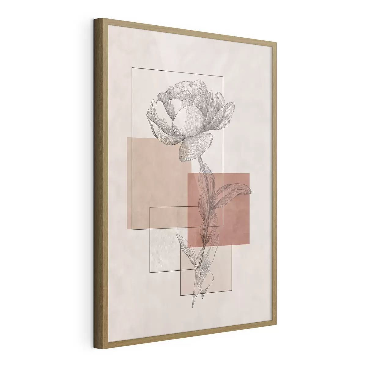 Poster Peonia moderna f49842