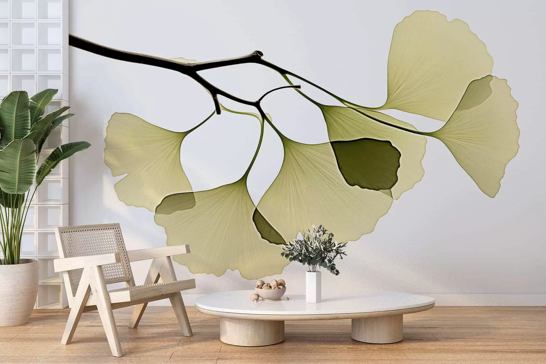 Carta da parati nature Foglie a ventaglio di ginkgo 