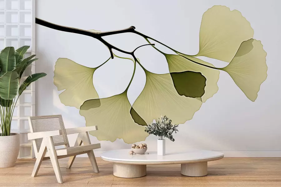 Carta da parati nature Foglie a ventaglio di ginkgo 