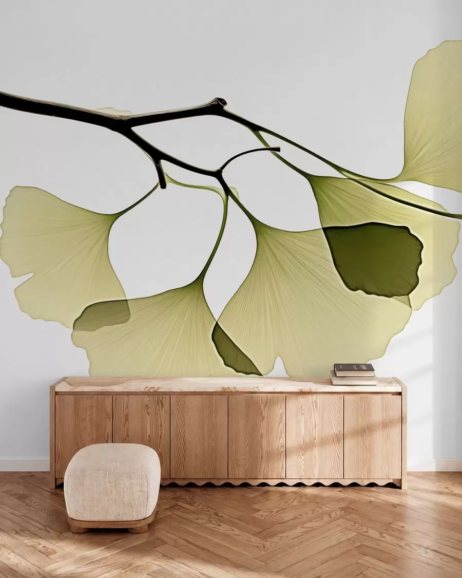 Carta da parati nature Foglie a ventaglio di ginkgo 