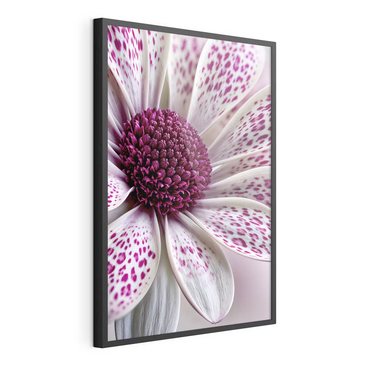 Poster Primo piano di un fiore simile a una margherita con vivaci macchie leopardate color magenta f49865
