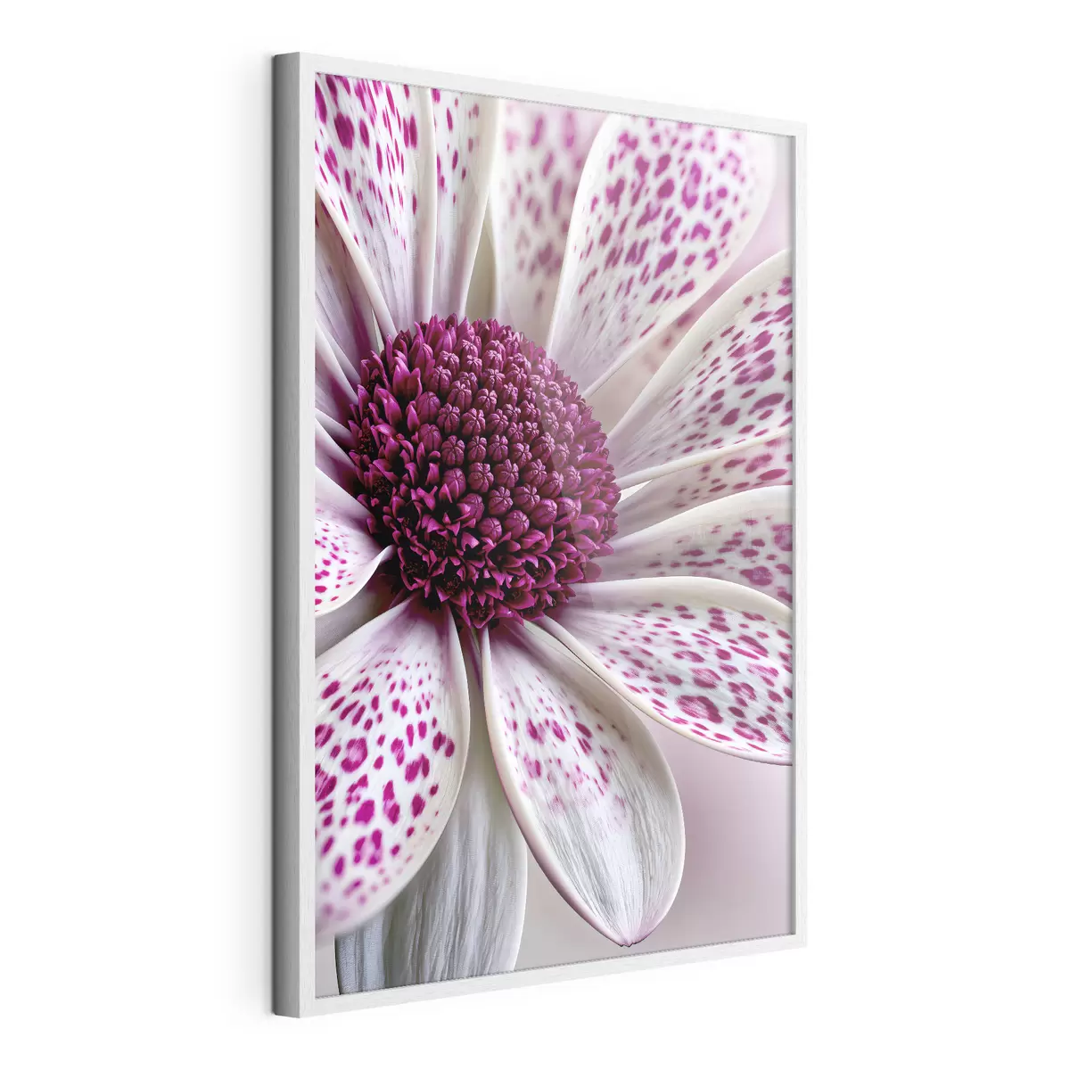 Poster Primo piano di un fiore simile a una margherita con vivaci macchie leopardate color magenta f49865