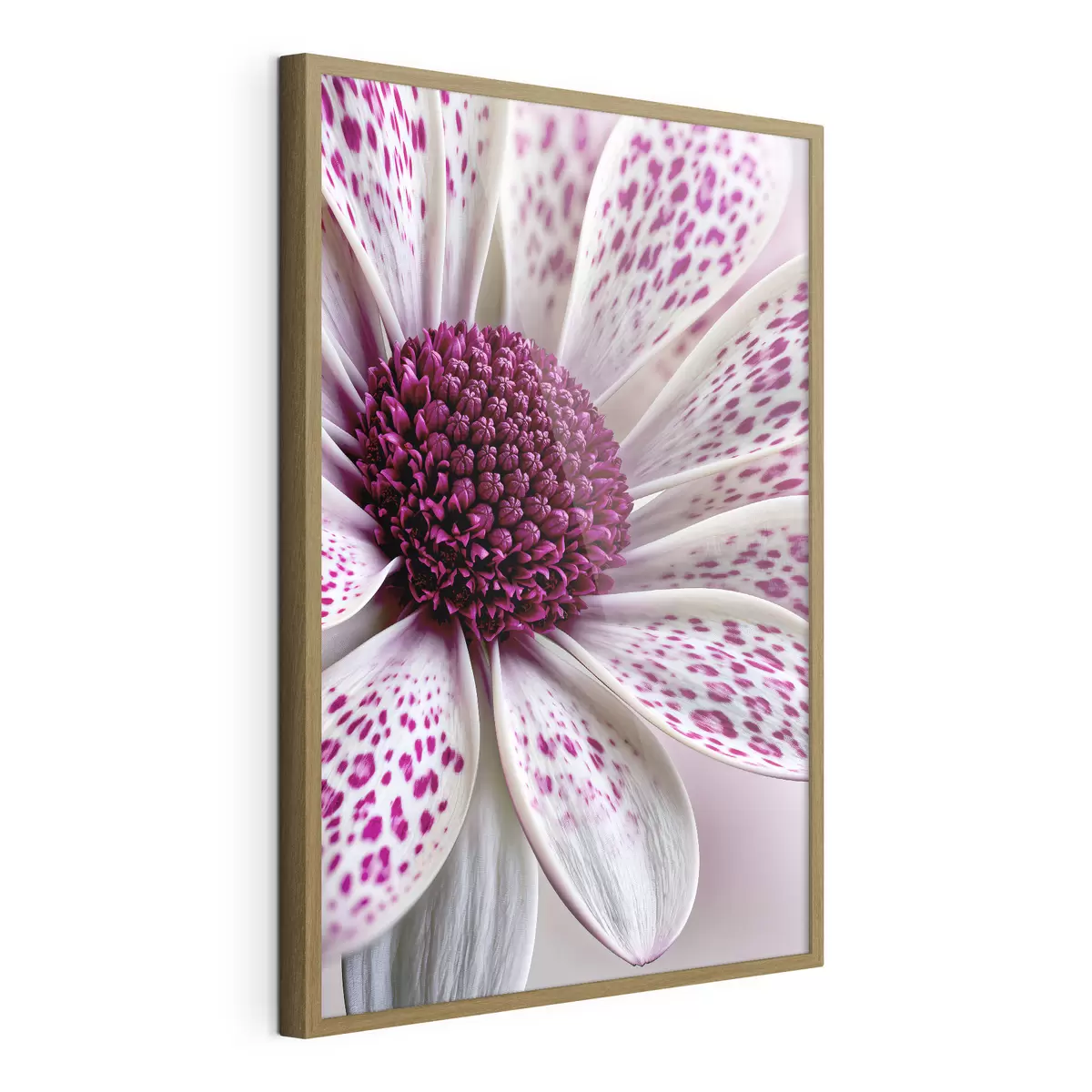 Poster Primo piano di un fiore simile a una margherita con vivaci macchie leopardate color magenta f49865