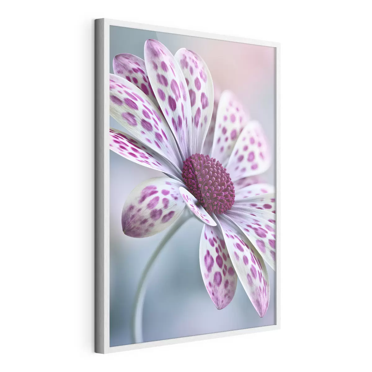 Poster Fiore simile a una margherita con vivaci macchie leopardate color magenta f49866