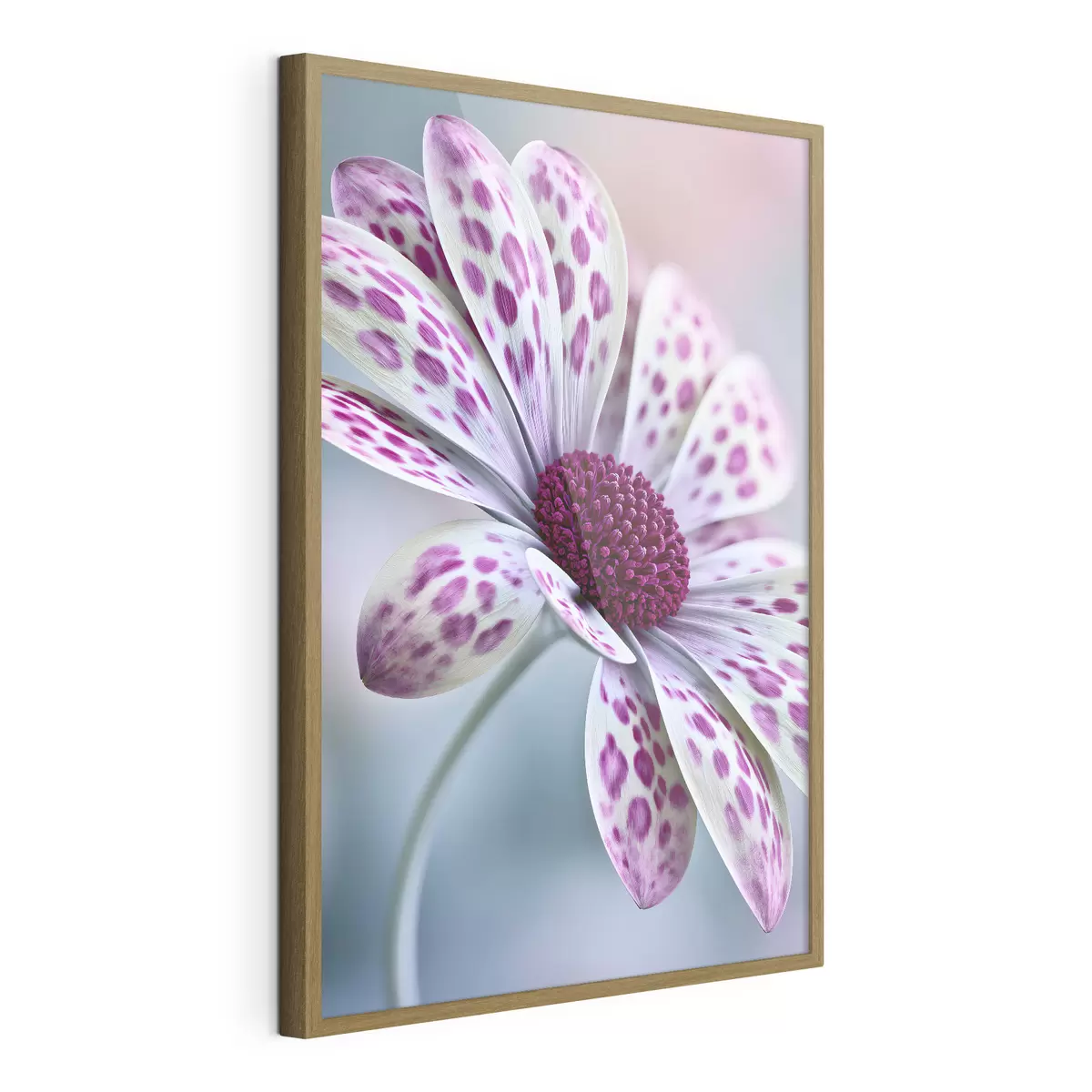 Poster Fiore simile a una margherita con vivaci macchie leopardate color magenta f49866